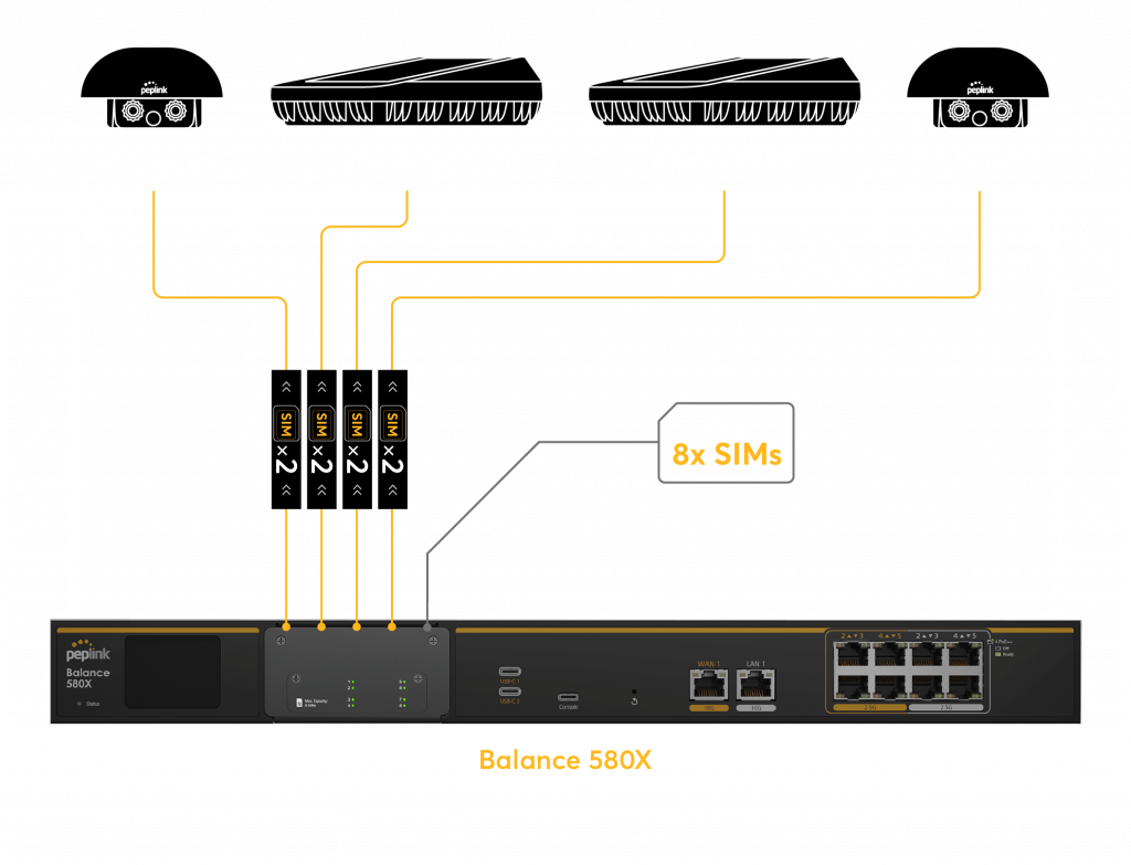 Peplink Router Balance 580X SIM-Optionen